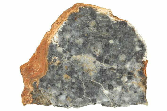Lunar Meteorite ( g) Slice - Bechar #360559